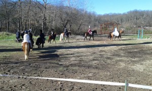 spettacolo equestre "Le streghe"