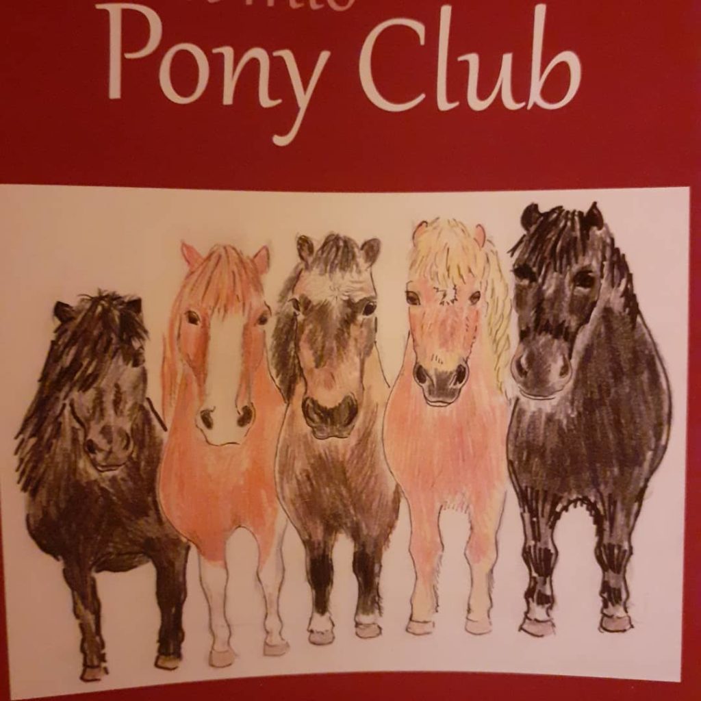IL MIO PONY CLUB di VALENTINA MAISTI