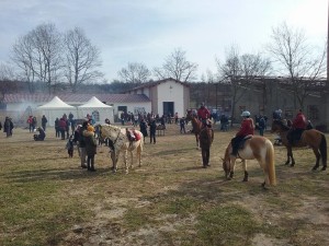 sant'antonio 2017 manz