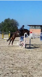 Starodie (da Staron) con Camilla
